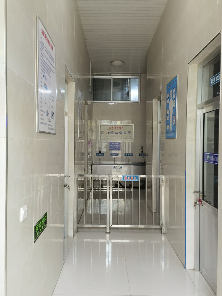 脫水蔥圈系列5